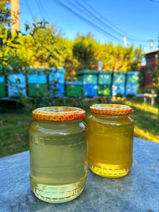 Miere naturală de salcâm și de tei