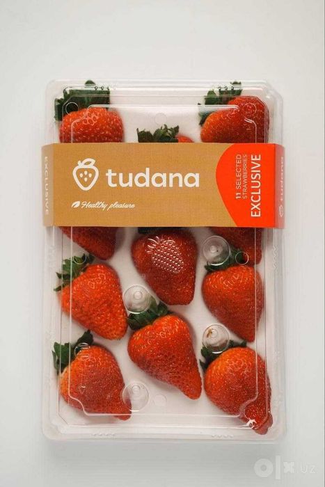 Tudana premium qulupnay | Yirik va shirin | Ulgurji va chakana