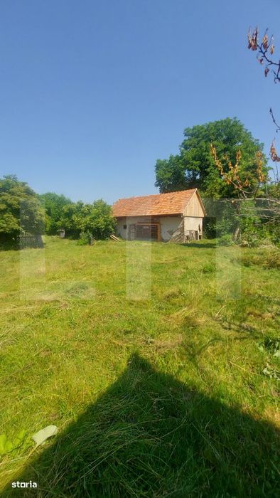 Casa + teren intravil, 3.6 ha I Zagon I Potential turistic si investit