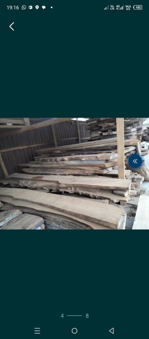 Лес Карагач Дуб Ясень Орех ,.