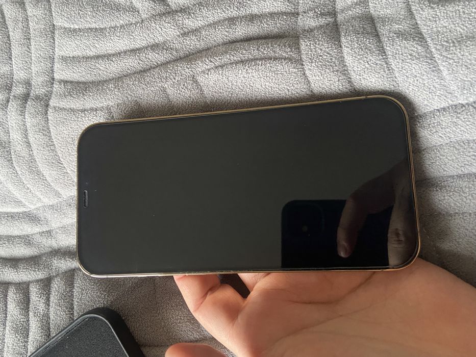 Iphone 12 pro max 256 gb