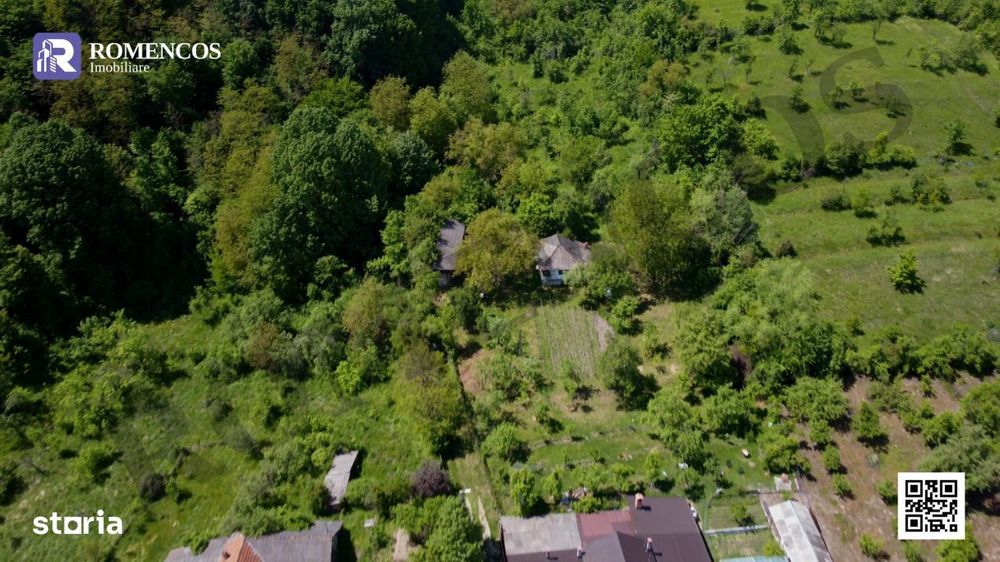 1.000 mp teren in Sat Opresti, Stalpeni, la liziera padurii