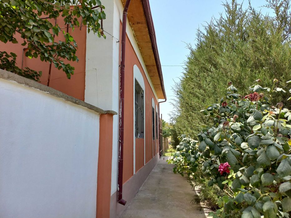 6 sotixli Namunali uy, Barcha Sharoitlar, Hovuz, Limonariyasi bor