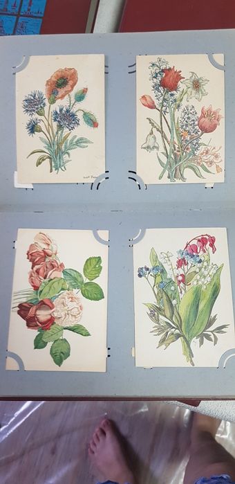 Альбом почтовых открыток цветы 1940х-60х годов