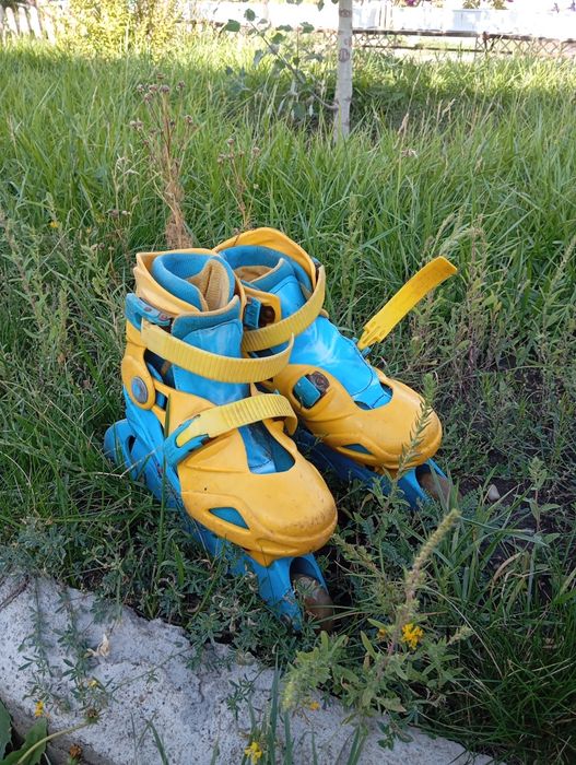 Ролики 37 размера