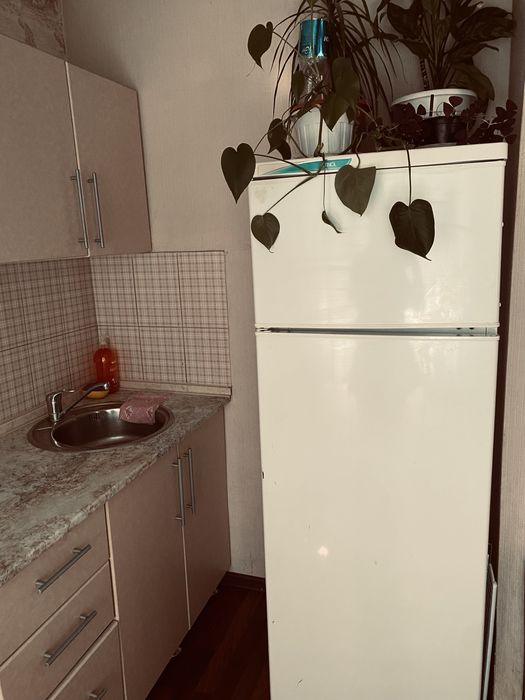 Сдам 1,5 на Дворце Спорта