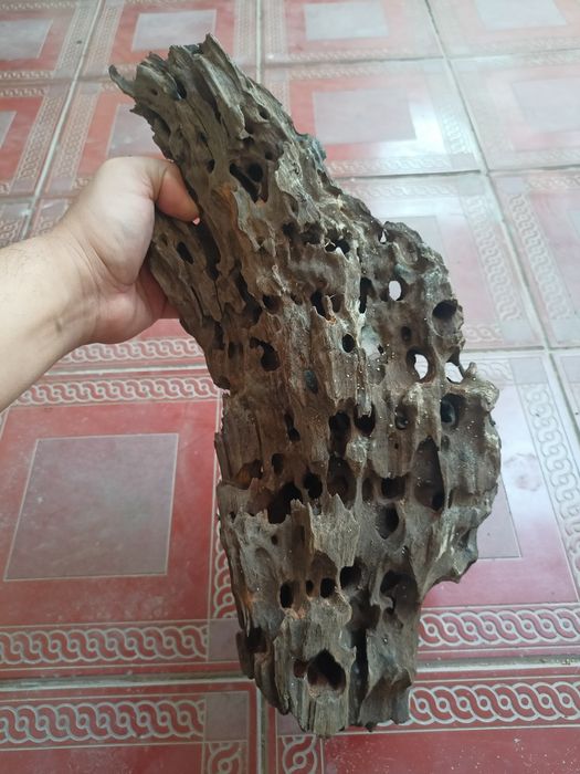 Karyaga hitoydan kegan