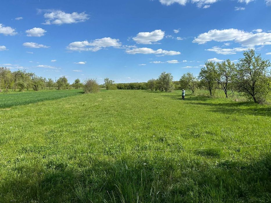 Vând teren intravilan în Teiș