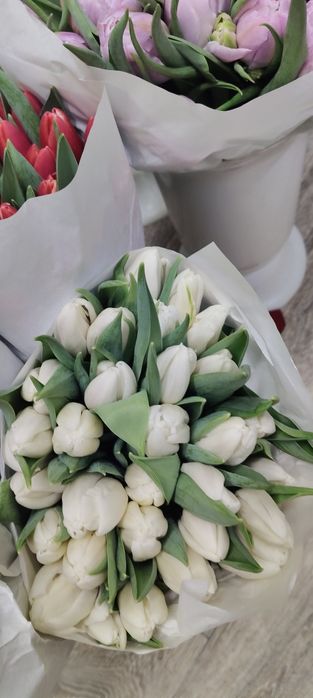 Тюльпаны оптом по очень 450 тг