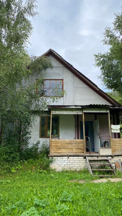 Продам.  Пасеку.