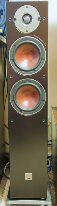 Boxe de pardoseală Dali Oberon 5