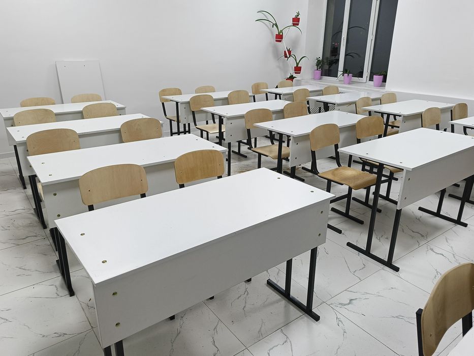 Школьные парты, стуль ,спинка