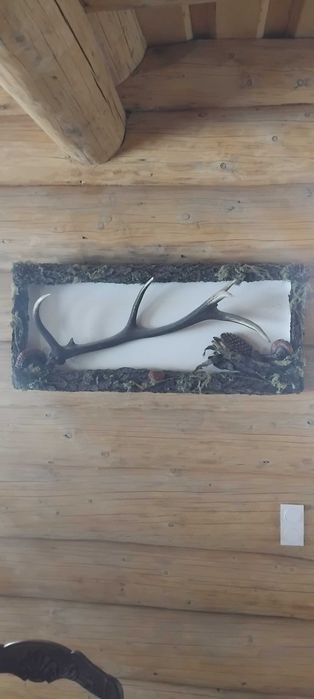 Tablou natural  original din bucovina