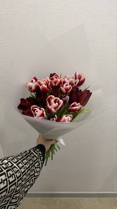 Цветы тюльпаааны