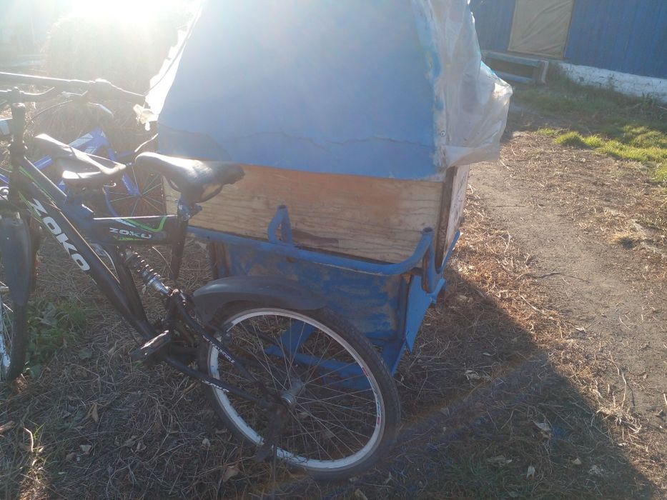 Трехколесный велосипед взрослый