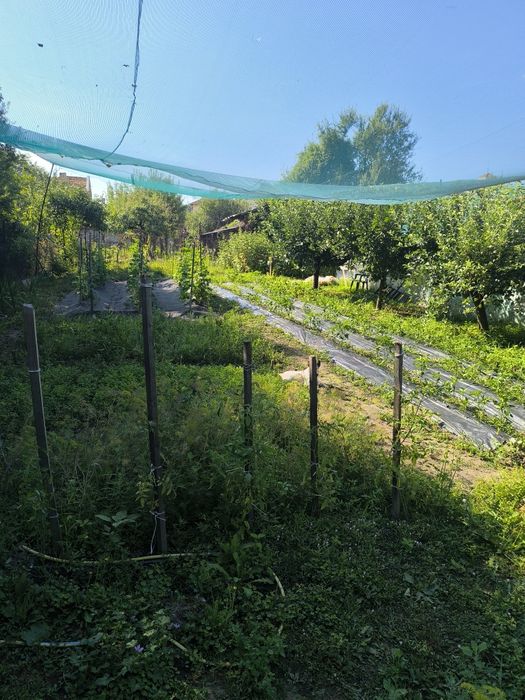 Продава се Парцел в с. Литаково, Област София-област - 770 кв.м за 39 €/кв.м - Снимка #2