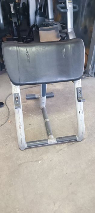 Technogym - скотова пейка