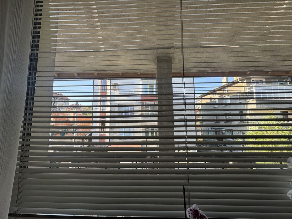 Голяма щора - запазена