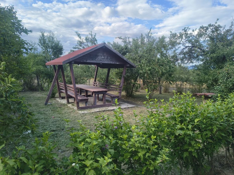 Teren  la deal cu cabana,vie și livada
