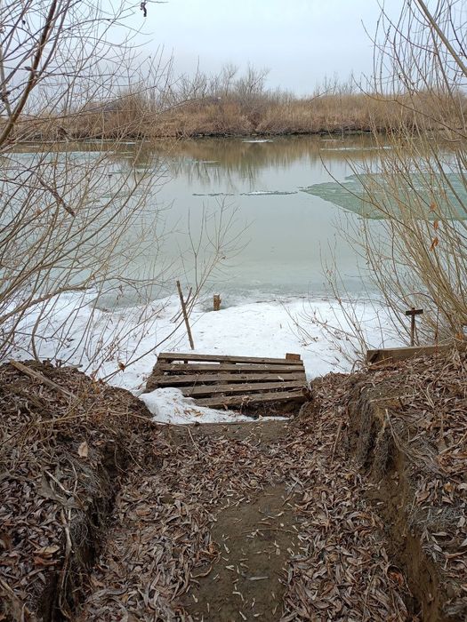 Дача на берегу Ишима