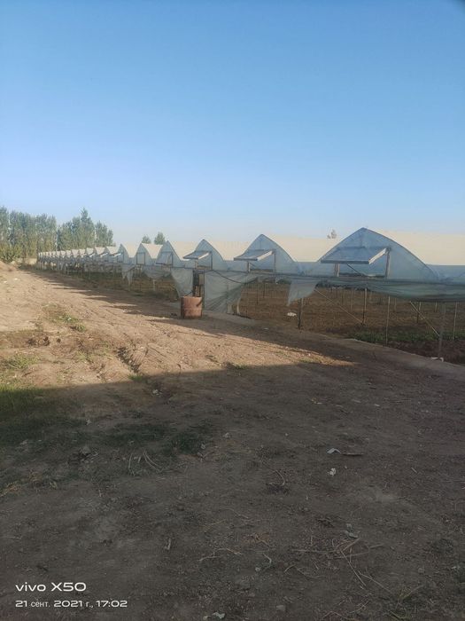 Ферма нежилой комлекс  сотилади 2 гектар 10 сотик. Эгалик 100%