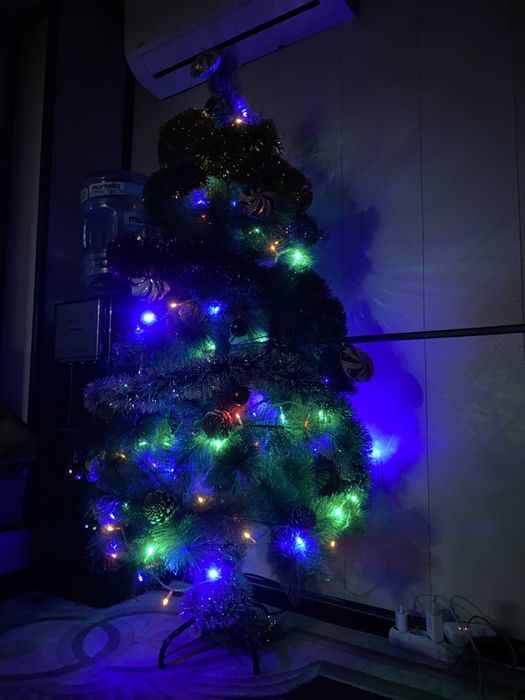 Yangi yil archasi sotiladi yengi bugun oldik