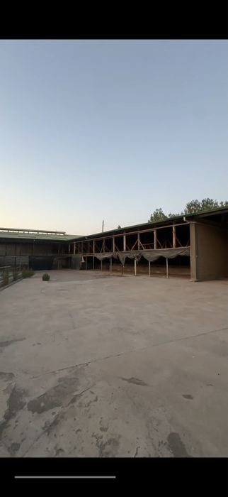 Yangi tayyor ferma — Orta Saroy | Shoshilinch sotiladi
