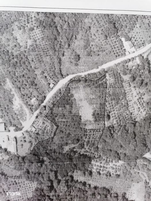 Livada + padure + teren extravilan, 14.400 mp, zona Gemenea-Bratulesti