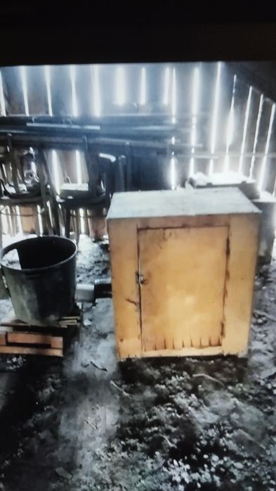 Мини каптильня родается