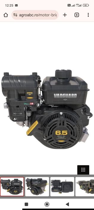 Motor Briggs & Stratton Vanguard OHV benzina