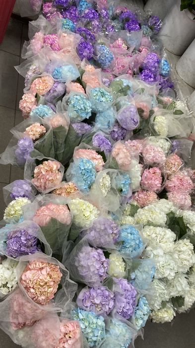 Оптом Розы Голландия 50см до 120см