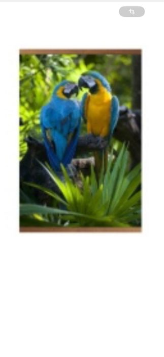 Обогреватель картина эконом