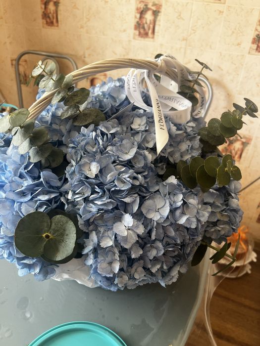 Продам красивые и свежие цветы