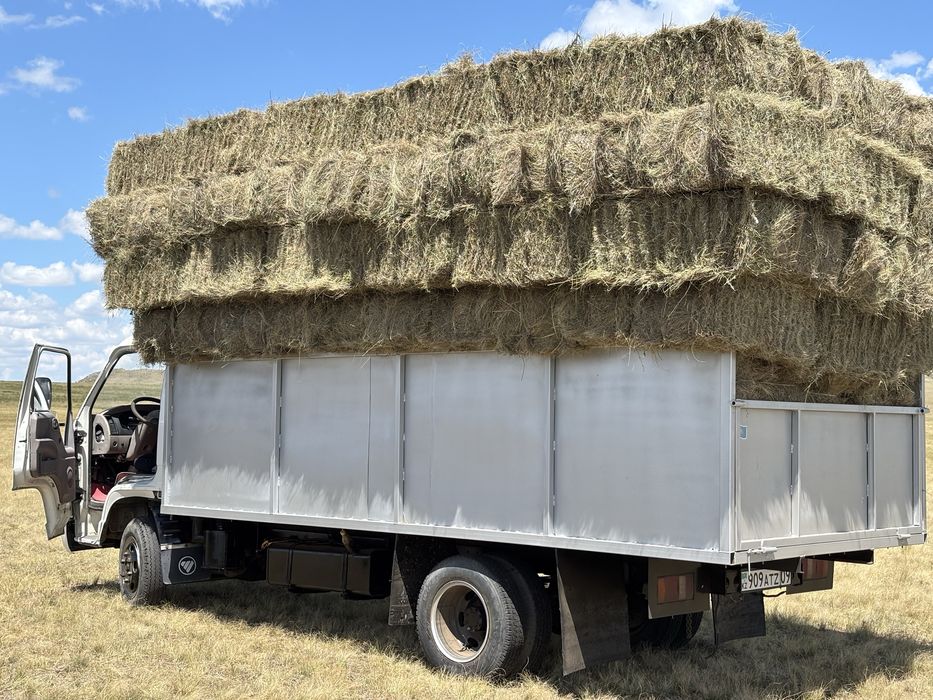 Буылған шөп Сено в тюках