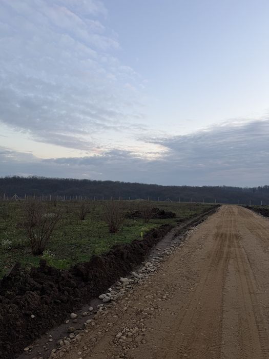 Parcele de vanzare Pausa