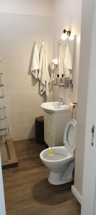Studio de închiriere