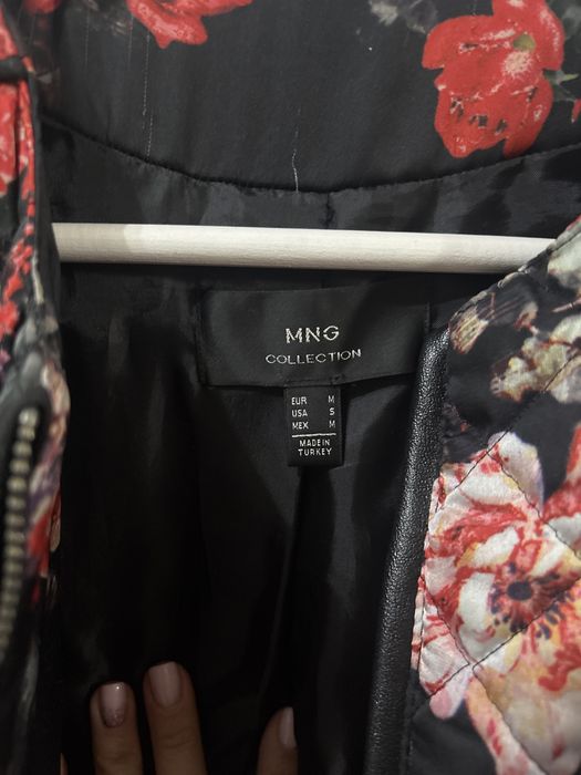 Jacheta matlasata Mango