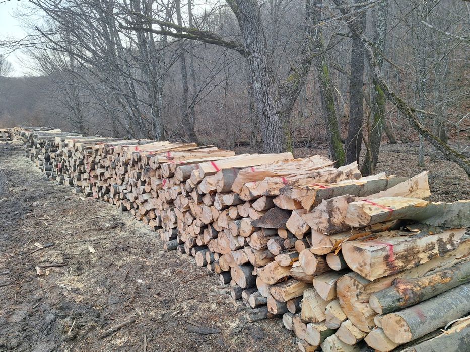 Lemn de foc fag fasonat