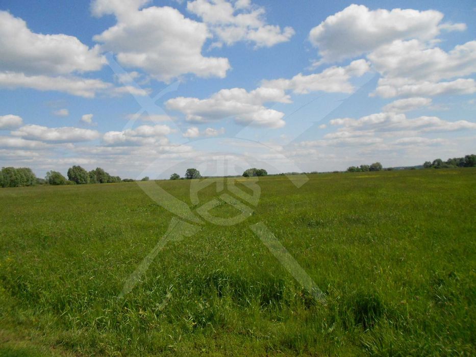 Парцел Бенковски 53814