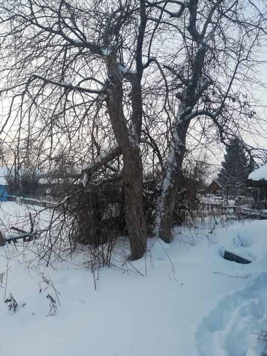 Продам дачу.за Автопарком ,,Воско,,