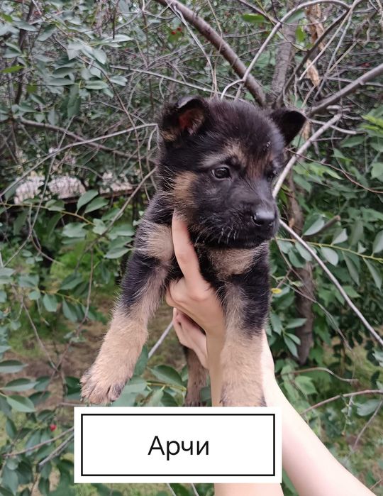 Бронирование и продажа