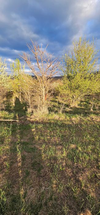 Парцел до регулация, с Равново