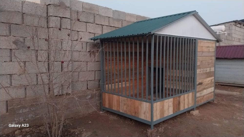 Үйдегі итіңізге ұя