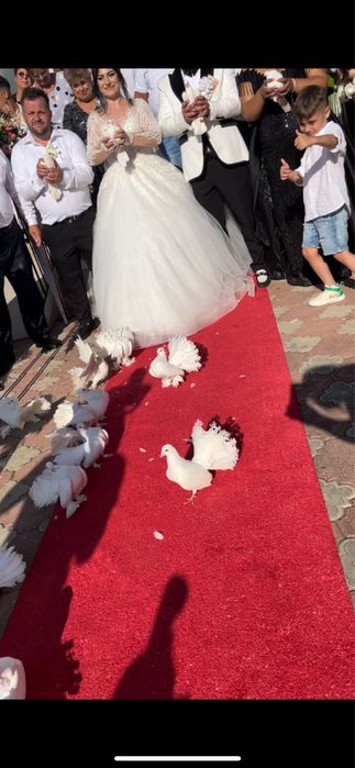 Porumbei pentru nuntă