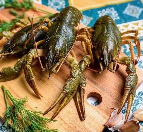 Продам раков живых