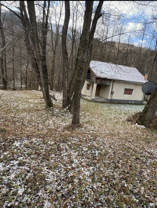 Vand cabana Ocolisel, Valea Ariesului
