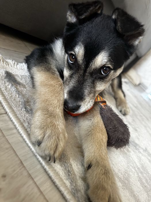 Малышка ищет любящую семью