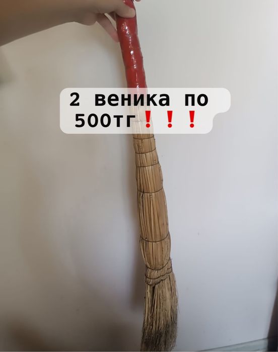 Два веника по 500тг сарго