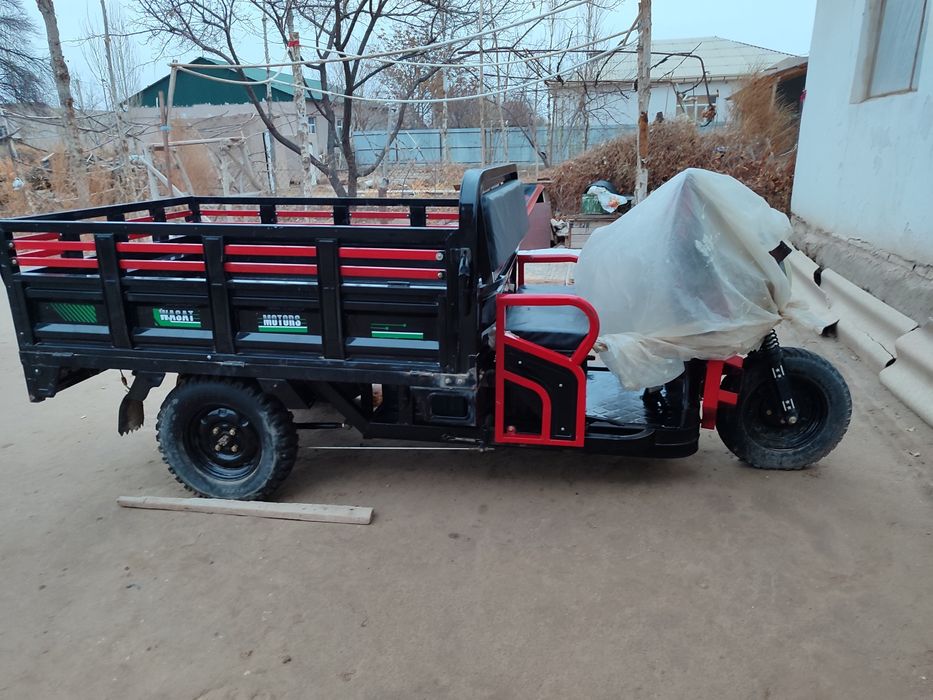 Муравей Тоқ пенен жүреди