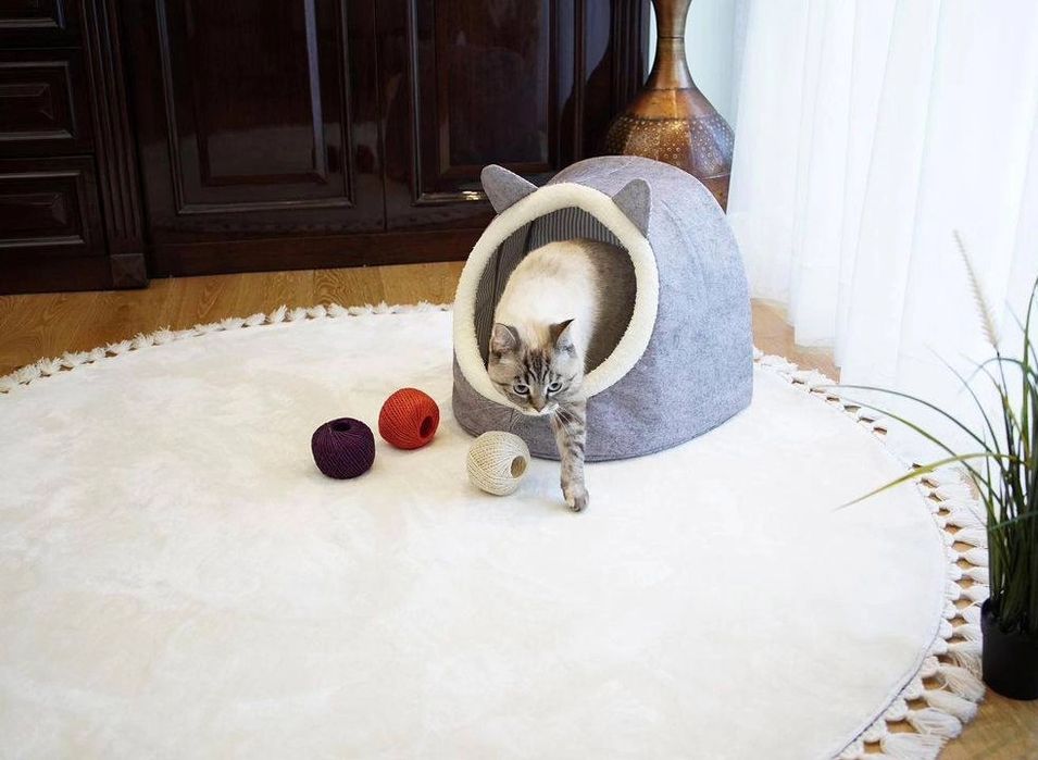 Домик для кошки и собаки